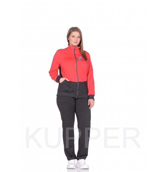 картинка Спортивный костюм женский модель 378/1 от магазина Куппер